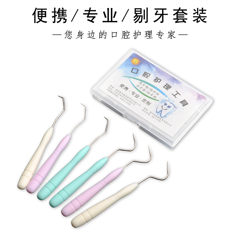 Sky Art Carry-on toothpick Home Oral Care Stainless Steel Tooth Probe Crochet Hook Needle Portable Tooth-picking Dentistry Tool