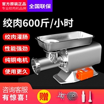 Golden Lebao RY-22s Desktop Electric Commercial High Power Dumplings Meat Machine Broken Meat Stainless Steel Enema Machine Wringing Filling Machine