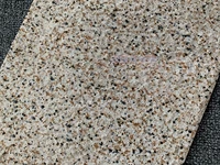 2451 Fimble Gent Gangson Gangson Внешняя настенная плитка