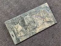 2481 Имитация грибной каменной настенной плитки