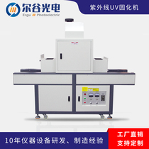 LY400-2 shadowless glue curing furnace UV curing machine 6KW pipeline tunnel furnace UV varnish dryer