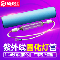 High power UV light solid lamp Glue ink varnish drying UV lamp 1KW-16 8KW UV UV curing lamp