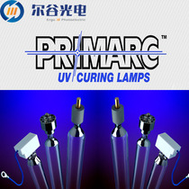 UK Paima lamp UV curing lamp Printing machine UV light solid lamp Oil paint drying lamp UV curing lamp