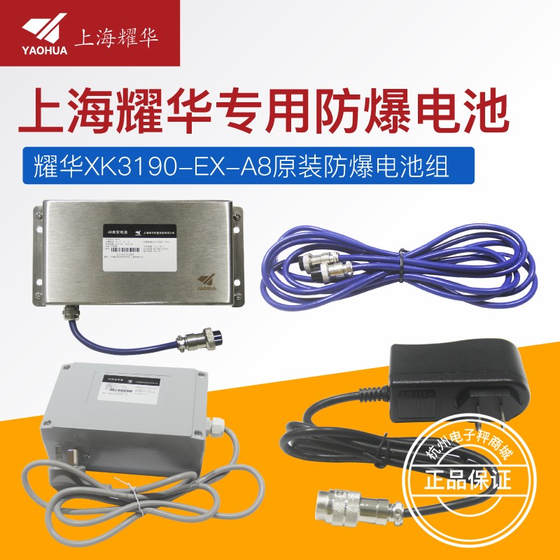 上海耀华XK3190-EX-A8防爆仪表本安电池本安电源电子秤显示器电池