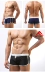 ACEFIT Men Side Line Boxer Đồ bơi Đồ bơi thời trang với Quần bơi nam size lớn - Nam bơi đầm