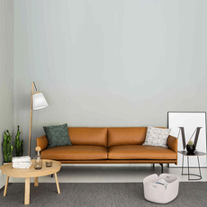 Кожаный диван 红星美凯龙 真皮沙发 北欧头层牛皮港式小户型客厅整装意式极简