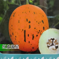 Семена метеористов красной кожи 5 капсул