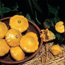 (UFO melon seeds) ornamental fruit and vegetable seeds ornamental pumpkin seeds ornamental and edible very delicious A