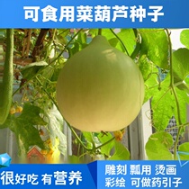 Farmhouse gourd seed gourd gourd Melon Melon can be used as scoop ornamental seed ornamental spring scoop