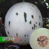 Монро № 2 семена дыни 5 капсул