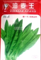 Oil wheat King lettuce seeds Four Seasons grow fast high-yield disease-resistant vegetable seeds heat-resistant and cold-resistant varieties