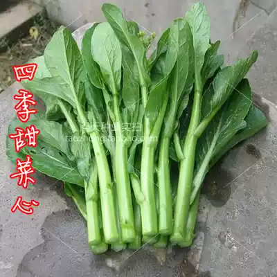 Four seasons beet heart seed vegetable garden Large-scale planting can be used for vegetable seeds Quick vegetable seeds harvested in 25 days