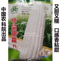 Sweet glutinous corn seeds fruit corn seeds sweet waxy vegetable seeds