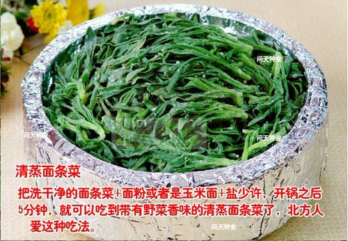 Овощи с лапшой и дикие овощи восхитительны.