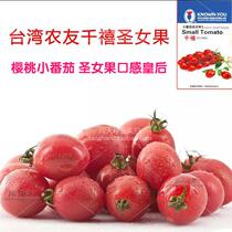 Taiwanese farmer Millennium Tomato Cherry tomatoes seeds Hainan Saint fruit seedlings tomato seedlings