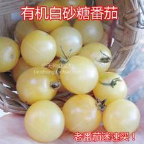 You can keep white sugar white cherry tomato cherry tomatoes Four Seasons vegetable seeds seedlings seedlings