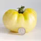 Старый Wright Tomato 10 капсулы