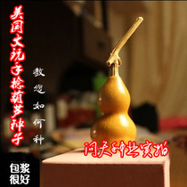 Authentic American hand-twisted gourd seeds Wenwang seeds are about 5-6cm long