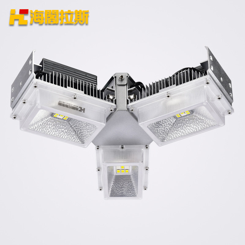 ������˹led�����