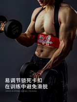 Thin Show Humerus Biceps Muscle Training Board Dumbbells Barbell Fitness Room Equipment Didirigé Muscle Frame Arm Trainer Bending Board