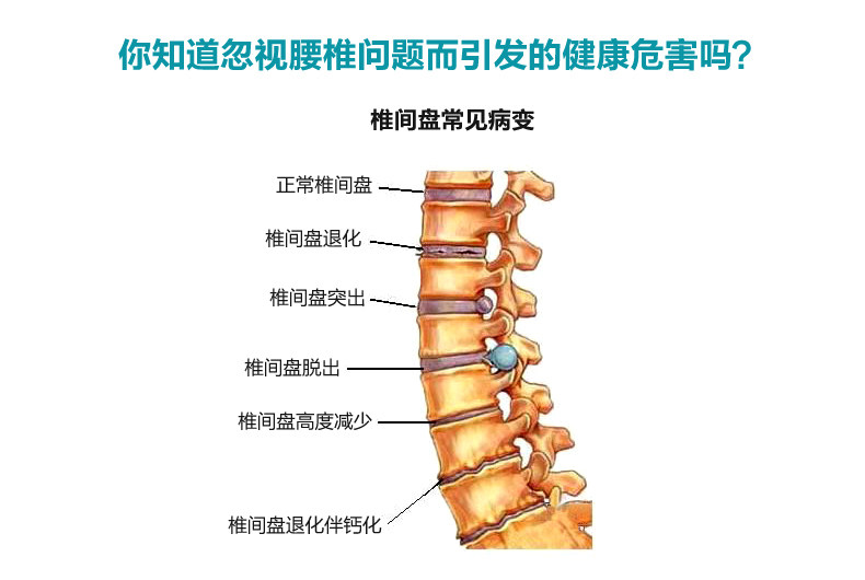 Corset en autre - Ref 675629 Image 12