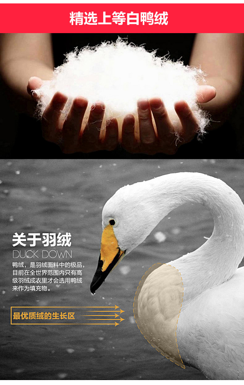 Corset - Ref 671683 Image 8