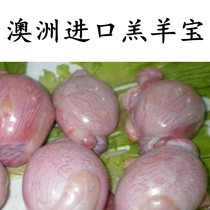 500 grams of sheep treasure Australia imported lamb testicles sheep viscera whole store eight Jin Shunfeng raw bone and meat