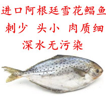 Imported Pomfret 500g Argentina snowflake Pomfret Pomfret eight catties Shunfeng