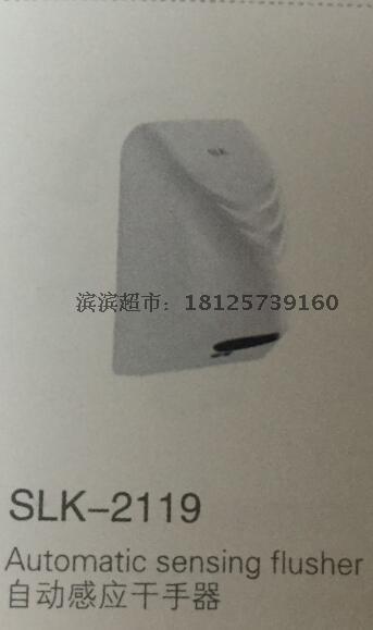 Shenli Car Induction Cleaner OTSOT Automatic Induction Dryer SLK-2119