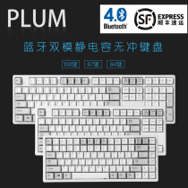 Plum Plum NIZ Bluetooth Dual Mode Wireless 66 82 84 87 108-key MAC Capacitive Keyboard