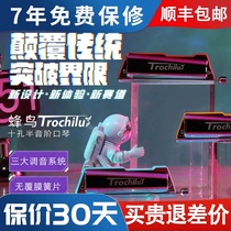 JDR嘉德瑞2023新款蜂鸟Trochilus十孔半音阶布鲁斯蓝调专业口琴