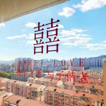 Wedding car decoration happy words wedding special stickers door electrostatic stickers wall stickers wedding room glass stickers set creative window grilles