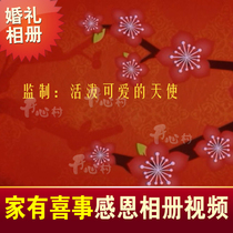  Family joy Personality funny wedding Opening opening trailer Growth film Opening film Opening MV