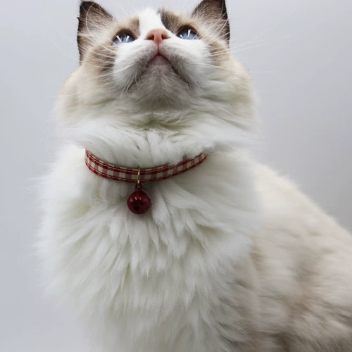 Колокольчик, чокер, подвеска, ювелирное украшение, безопасное ожерелье, домашний питомец