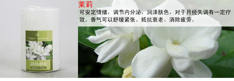 Bougie      - Ref 2487793 Image 19