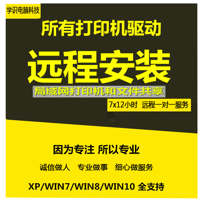 Remote installation of printing machine driver LAN printing and file sharing computer repair Internet service