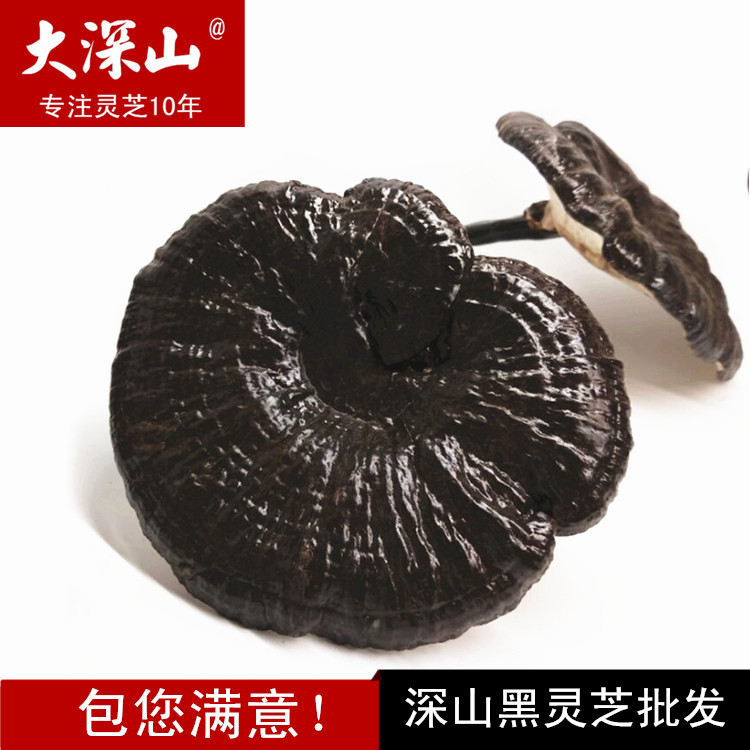 500 grams of Zizhi in Shaoguan, Northern Guangdong Province, the whole Ganoderma lucidum Linzhi Black Ganoderma lucidum semi-wild New goods are sweet and fragrant