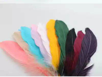 Reggio Waldorf life teaching materials advanced velvet feather art creation