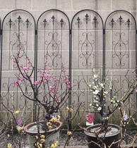 Two 2-2 m pa teng jia hua zhi jia clematis rose shelf wall screen grid flowers tab