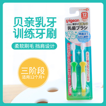 Japan Beloved special children training toothbrush 0-6-year-old baby suckling soft hair ultra-fine suit two clothes