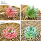 2020 new simulation green plant succulent combination fake flower small bonsai store restaurant home gardening decoration decoration