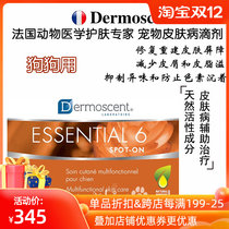 French Demis dermoscent Natural Herbal Skin Drops Dog Gold Point Drops 20-40kg