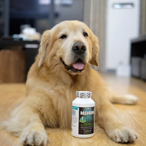 American veterinary recommended Dasuquin( ds upgrade formula) medium and large canine chondroitin joint tablets 150 tablets