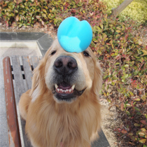 Golden Mao Seven Treasure Home USA WEST PAW 100% environmentally friendly and resistant to biting and floating water toy JIVE ball