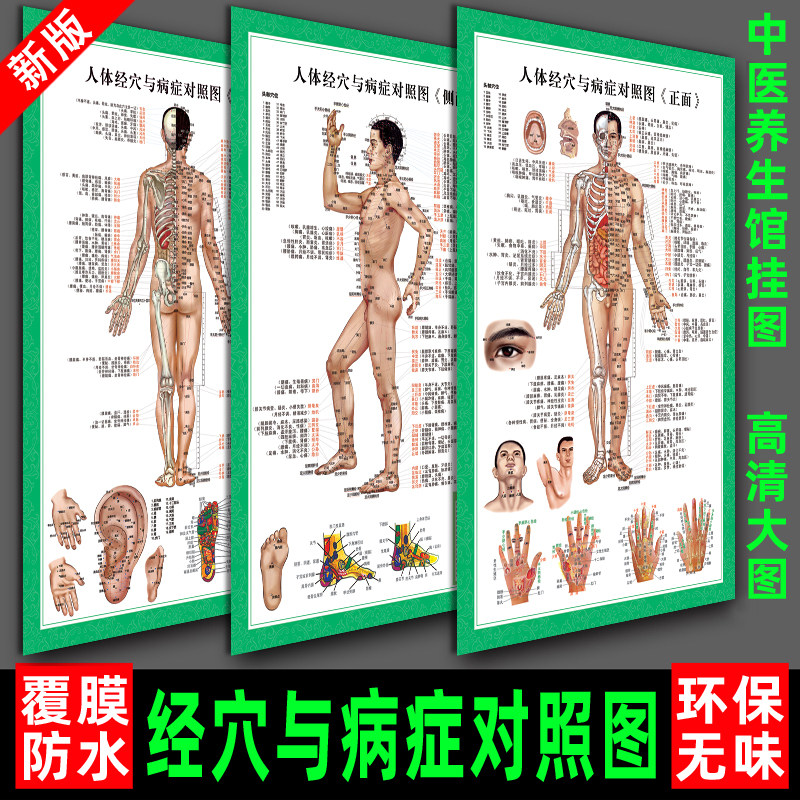 TCM Health Moxibustion Acupuncture Point Chart Acupuncture Meridian Whole Body Massage Home Human Meridian Points and Disease Control Wall Chart