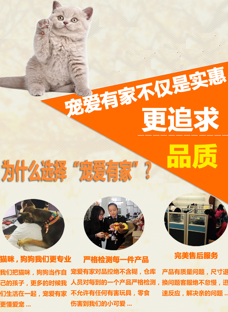 Pet cat dog tai nhíp thép không gỉ thẳng cầm máu kẹp kìm 14cm - Cat / Dog Medical Supplies súng tiêm thuốc