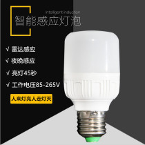 Smart human microwave radar induction switch control LED home floor garage AC110V220V ball bubble light