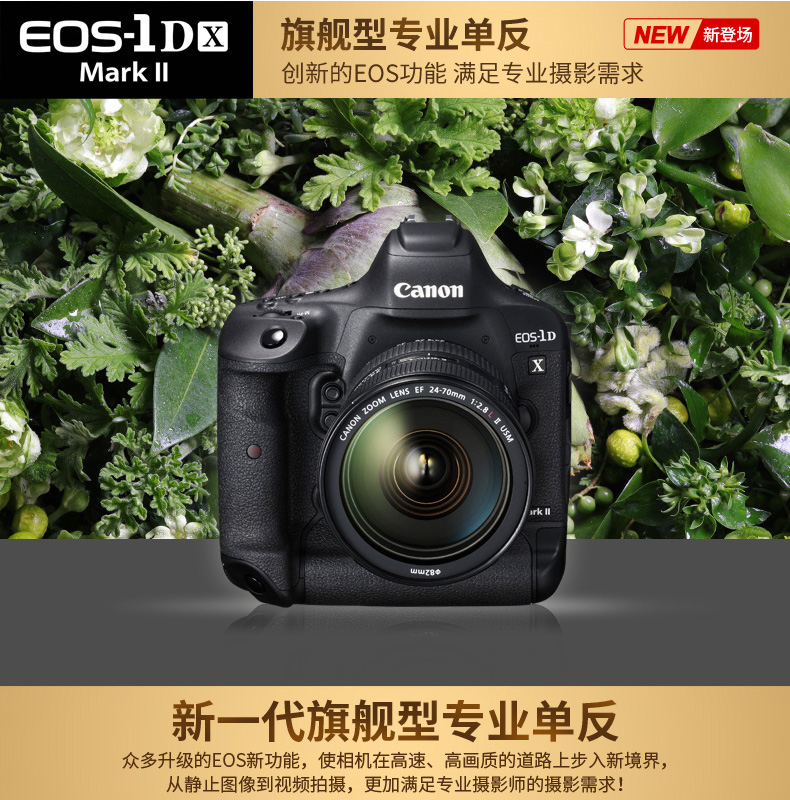 Canon Canon EOS-1D X Mark II full-frame SLR kỹ thuật số SLR 1DX 2 vua - SLR kỹ thuật số chuyên nghiệp máy ảnh polaroid