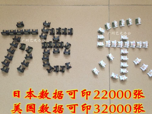 Schola C4300 4400 7235 7245 7328 7335 7345 7346 Chronch Condor Critision Critical Chip Drum Head