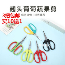 (3 to buy 10 to send 1) Wang Wuquan 2108 grape fruits and vegetables cut potted plants to trim fine branches and vegetables
